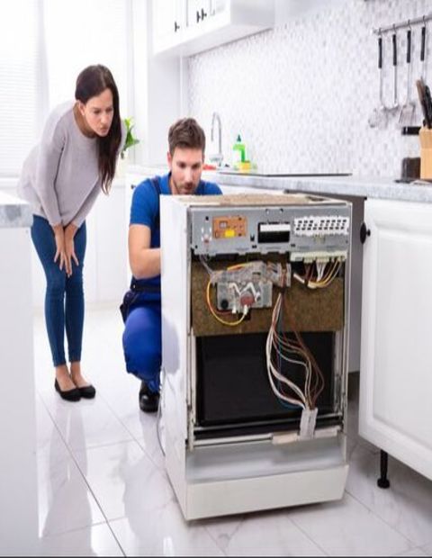 Dishwasher Servicing